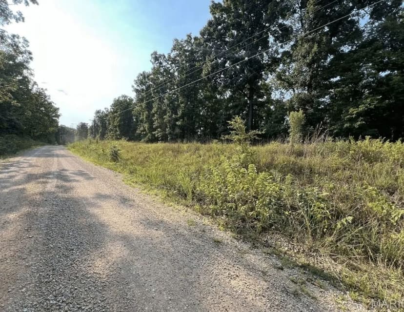 3+/- AC Lot with Electric For Sale in Wayne Co.