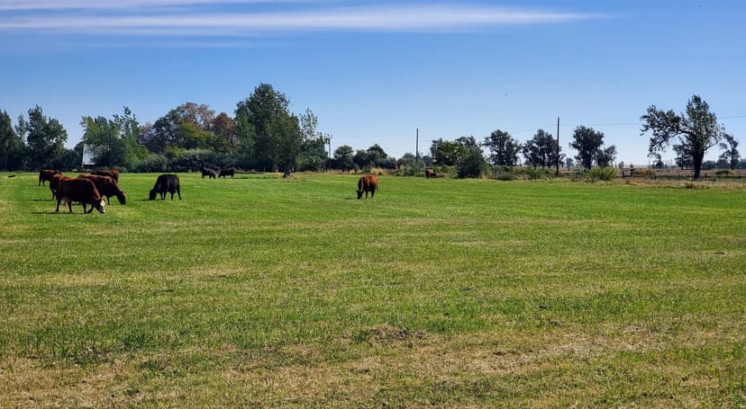 Boardman Strategic Land