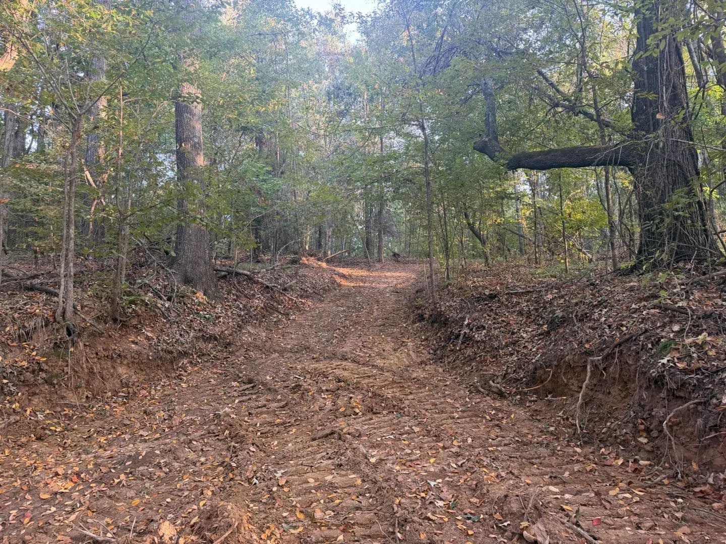 124.3 Acres in Yazoo County, MS  - Yazoo City, Mississippi, 39194
