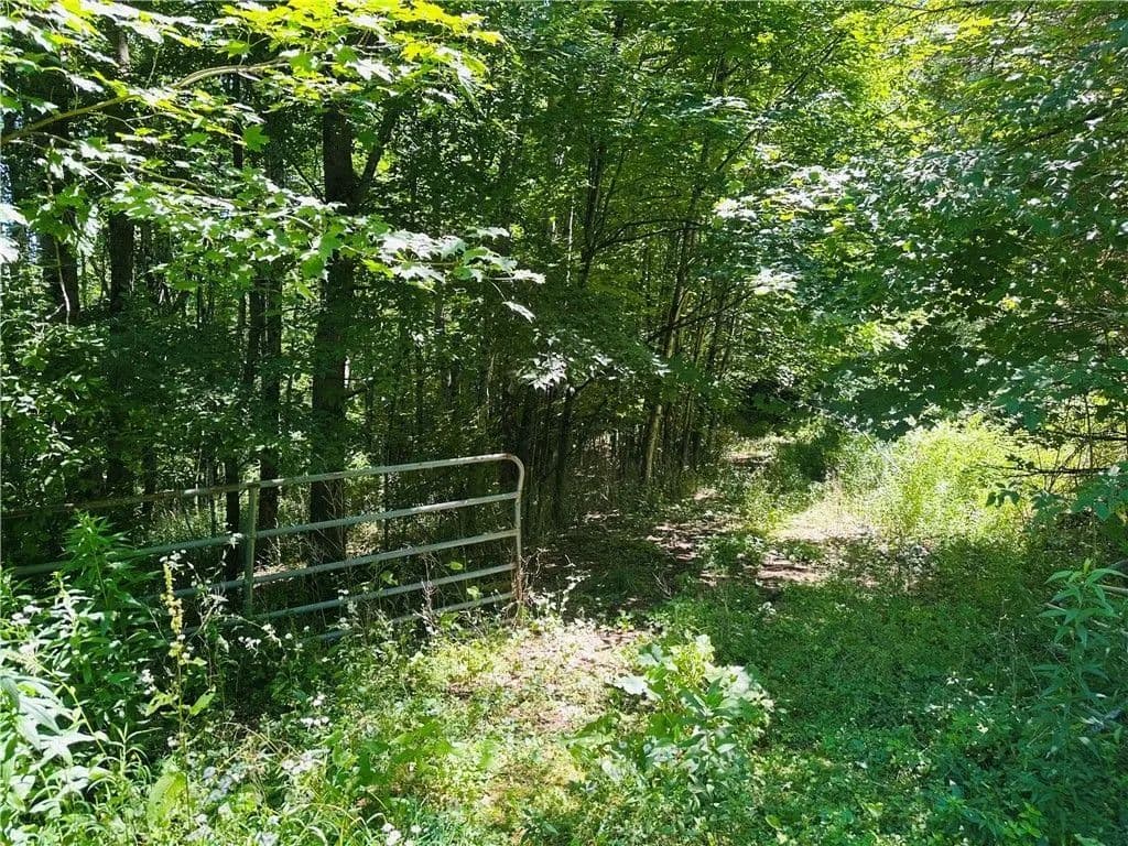 Land -Single Family Acreage in Delancey - New York, 13752