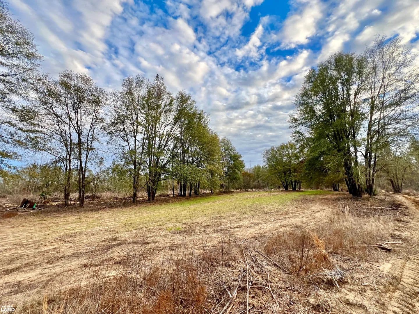 Yellow Bluff Highway-10 Homesite, Hunting & Timber Investment Tract - Pine Hill, Alabama, 36769