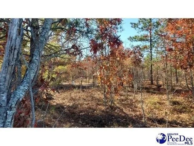 Lots & Land-Other in Hartsville - Hartsville, South Carolina, 29550