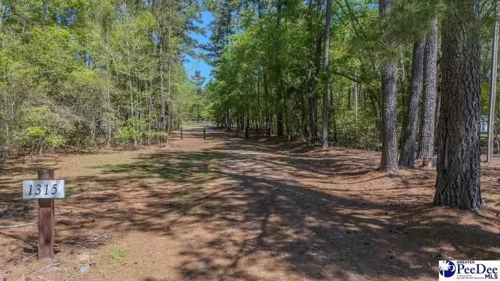 Lots & Land-Other in Effingham - Effingham, South Carolina, 295413179