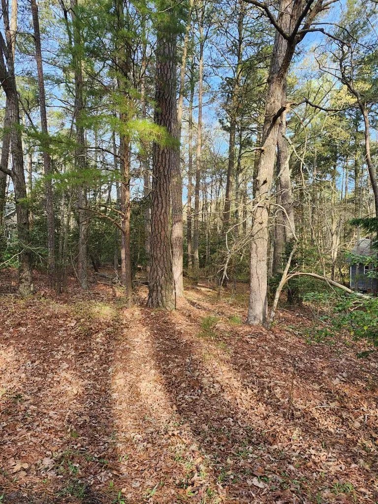 Land -Single Family Acreage in Greenbackville - Greenbackville, Virginia, 23356