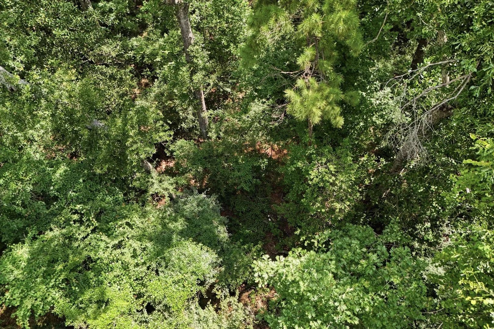 Lots & Land-Other in Splendora - Splendora, Texas, 77372