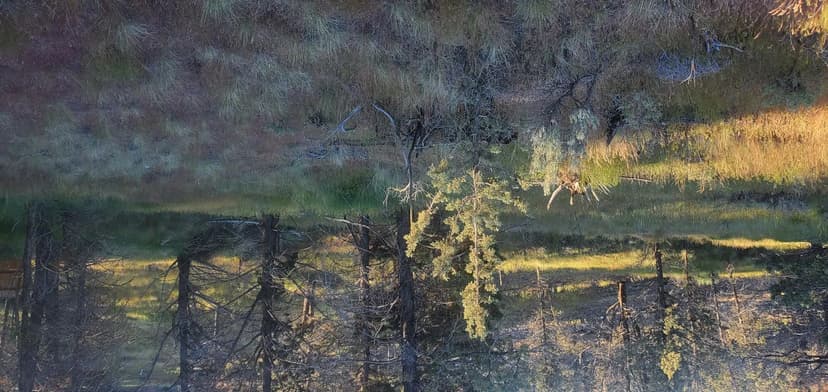 Land -Single Family Acreage in Prineville