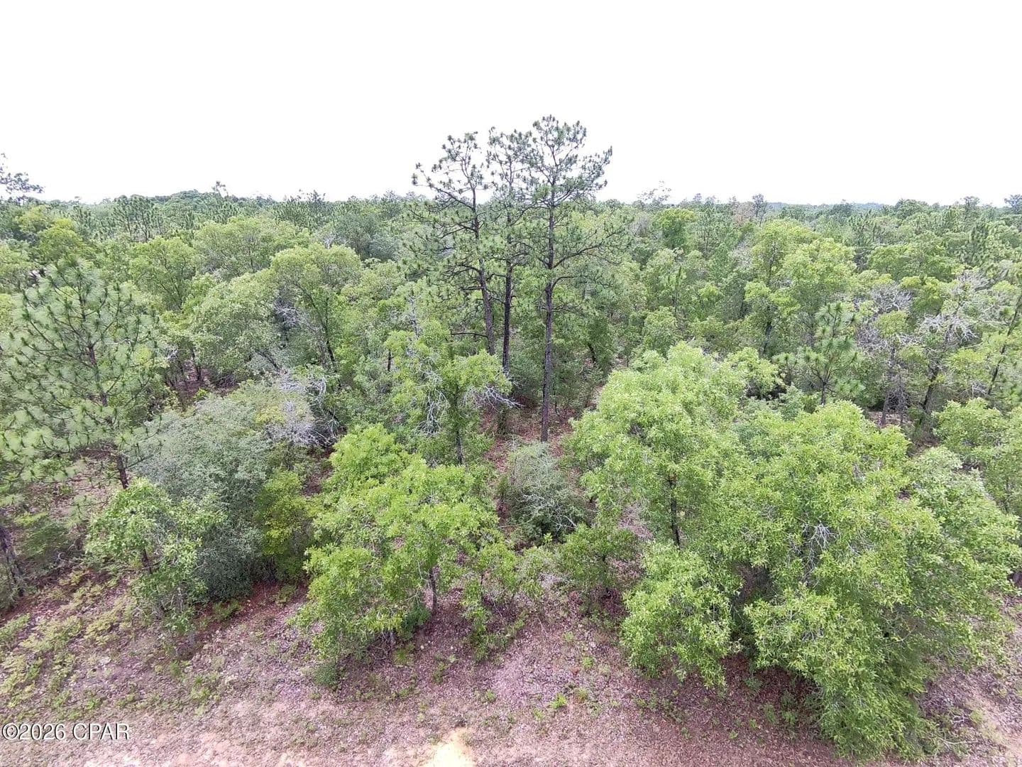 0.32 Acres of Land for Sale in Chipley, FL - Chipley, Florida, 32428