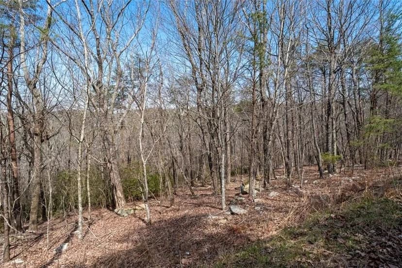 Vacant Land in Jasper