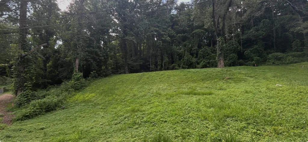 Lots & Land-Other in Blue Ridge - Blue Ridge, Georgia, 30513