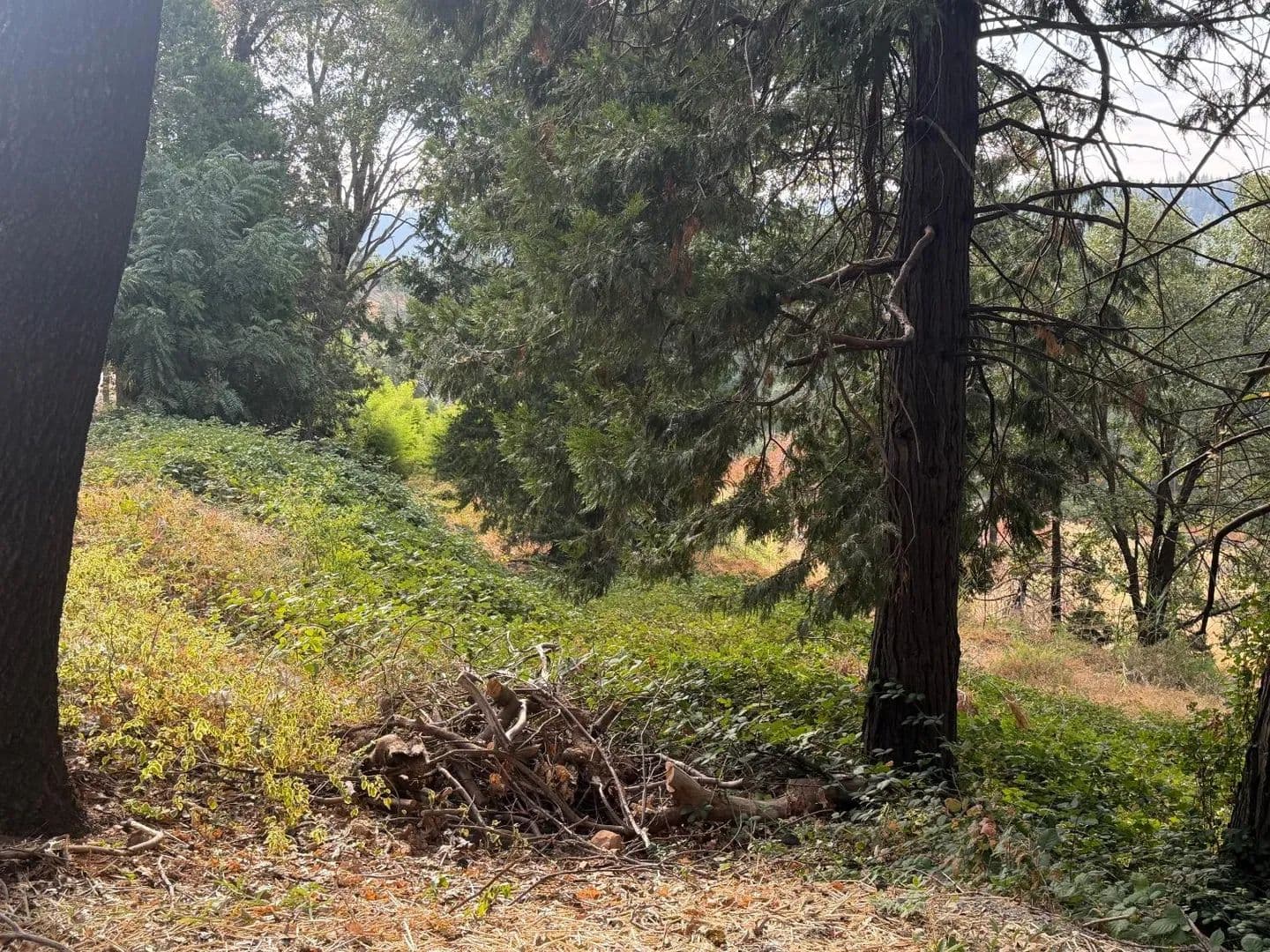 Vacant Land in Camino - Camino, California, 95709