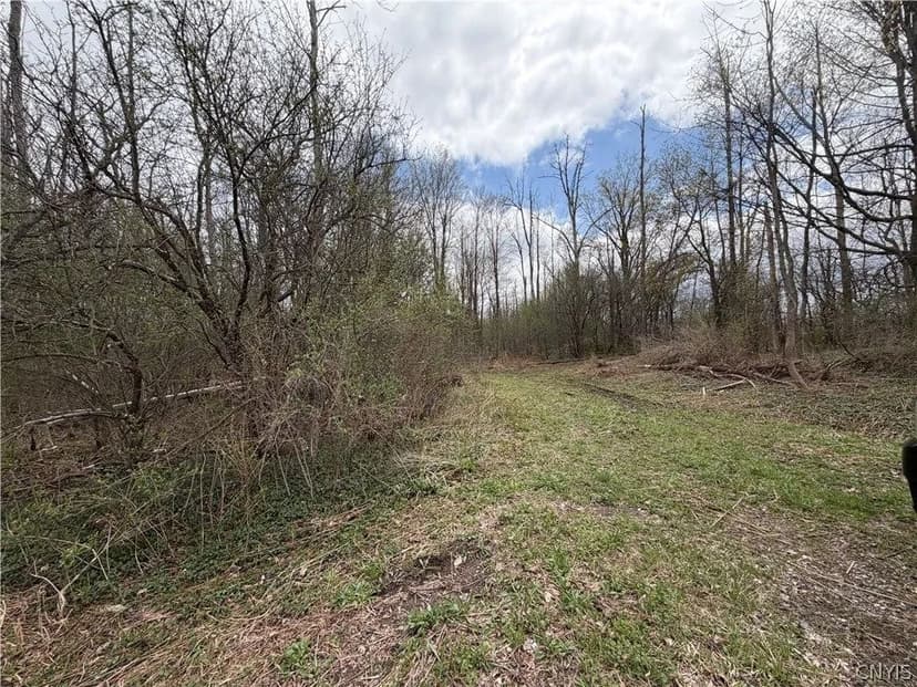 Lots & Land-Other in Manlius