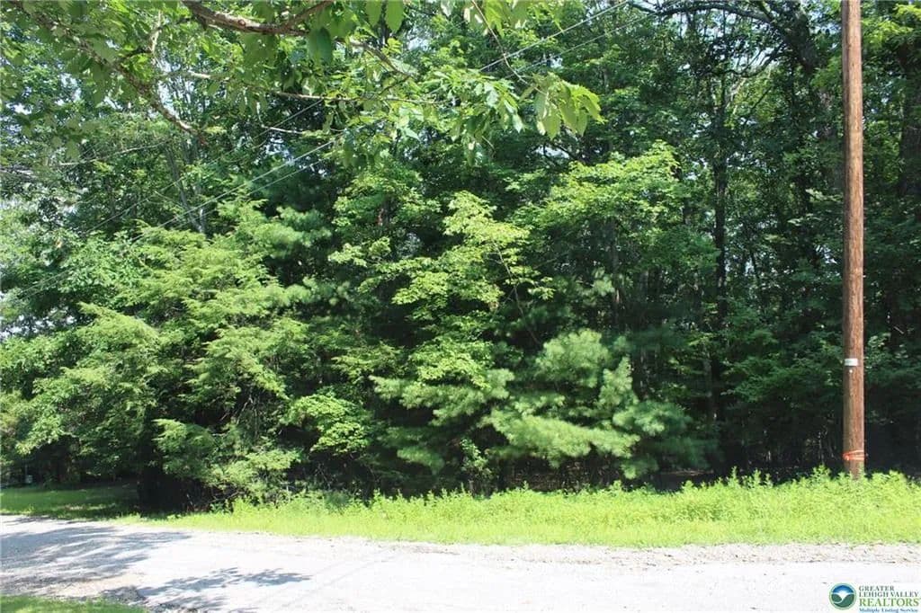 Land -Single Family Acreage in Kunkletown - Kunkletown, Pennsylvania, 18058