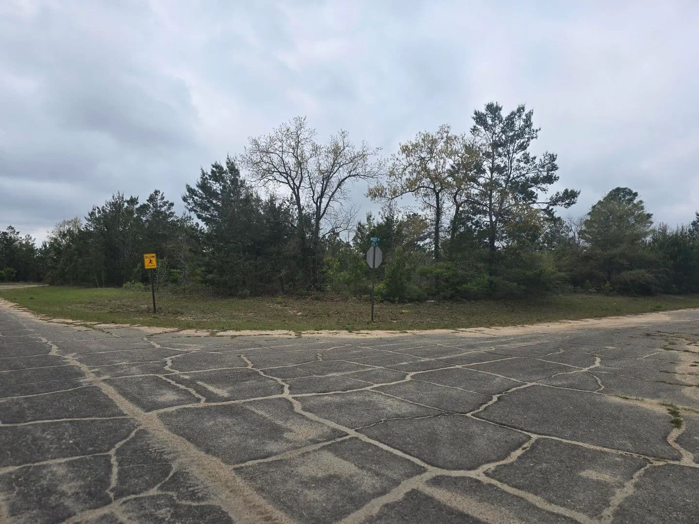Vacant Land in Chipley - Chipley, Florida, 32428