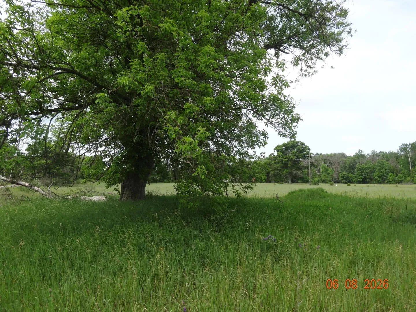 Vacant Land in White Cloud - White Cloud, Michigan, 49349