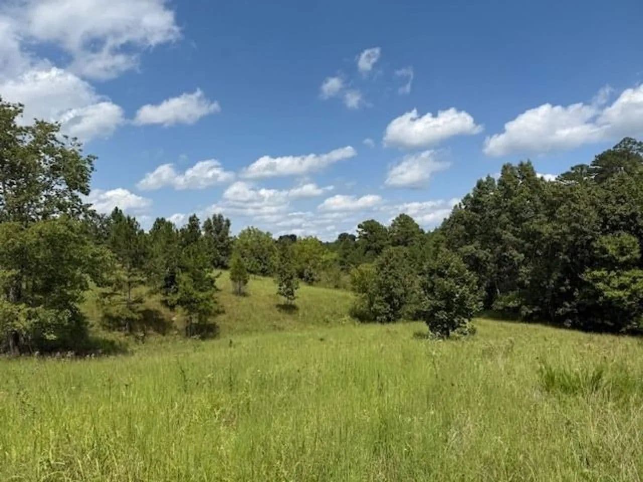 233 Acres, Barn, Drilled Well, Private, Shannon County - Mountain View, Missouri, 65548