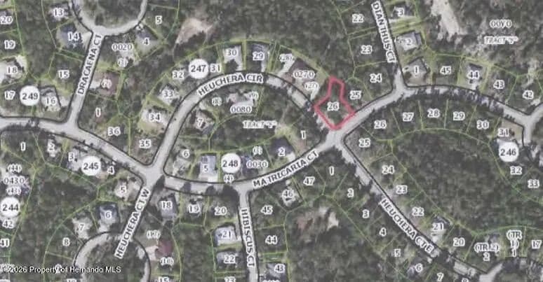 Vacant Land in Homosassa - Homosassa, Florida, 34446