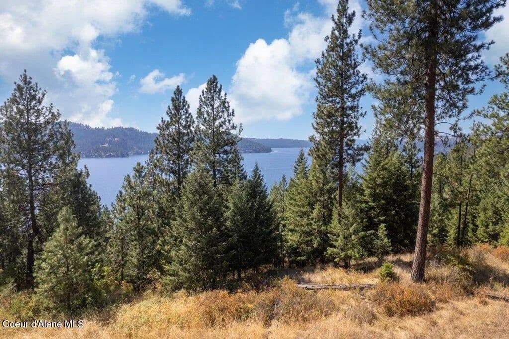 0.45 Acres of Land for Sale in Harrison, ID - Harrison, Idaho, 83833