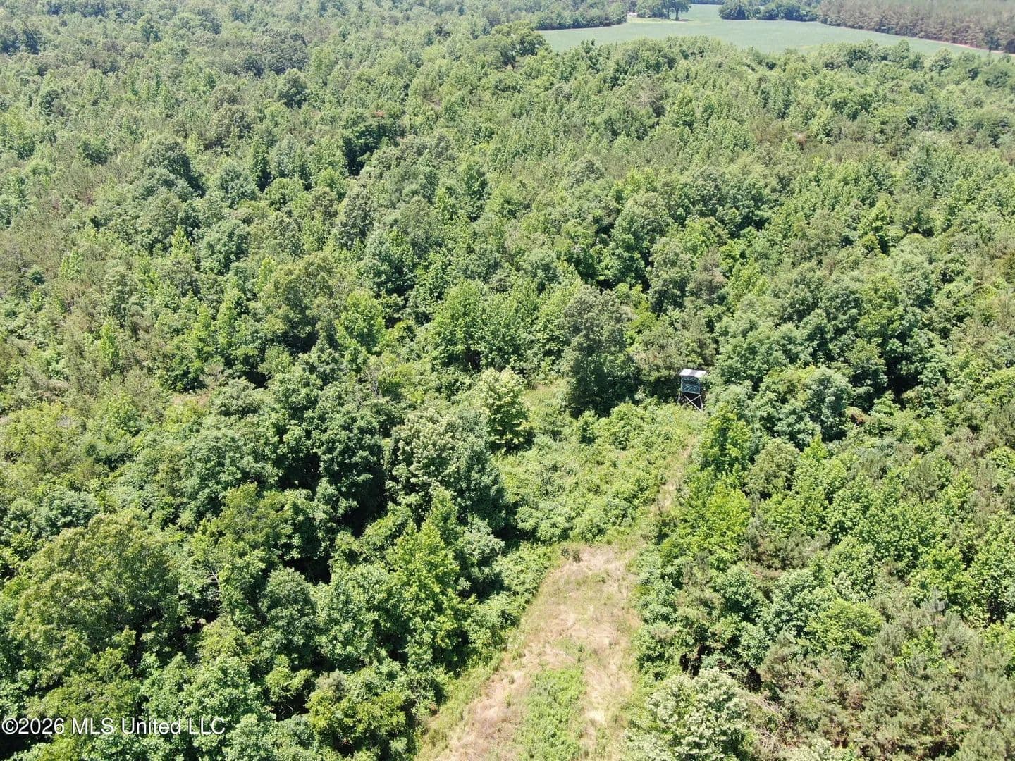 Property from 0 Scruggs Road - KW - Holly Springs, Mississippi, 38635