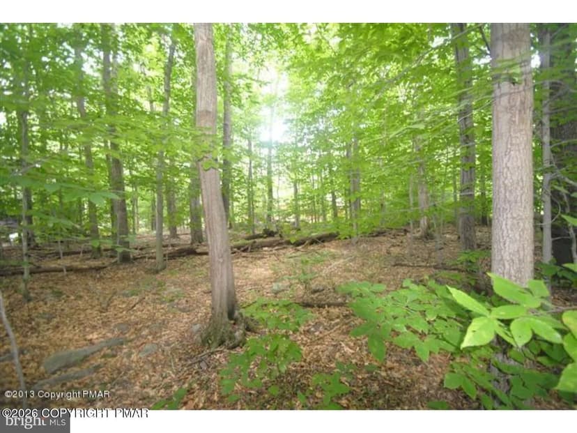 Property from 183 Sweet Briar Road - KW