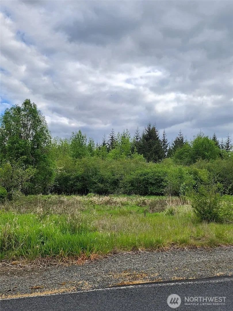 Land -Single Family Acreage in Toledo - Toledo, Washington, 98591