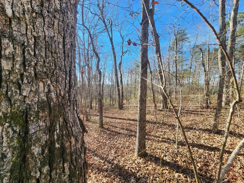 Lots & Land-Other in Mentone