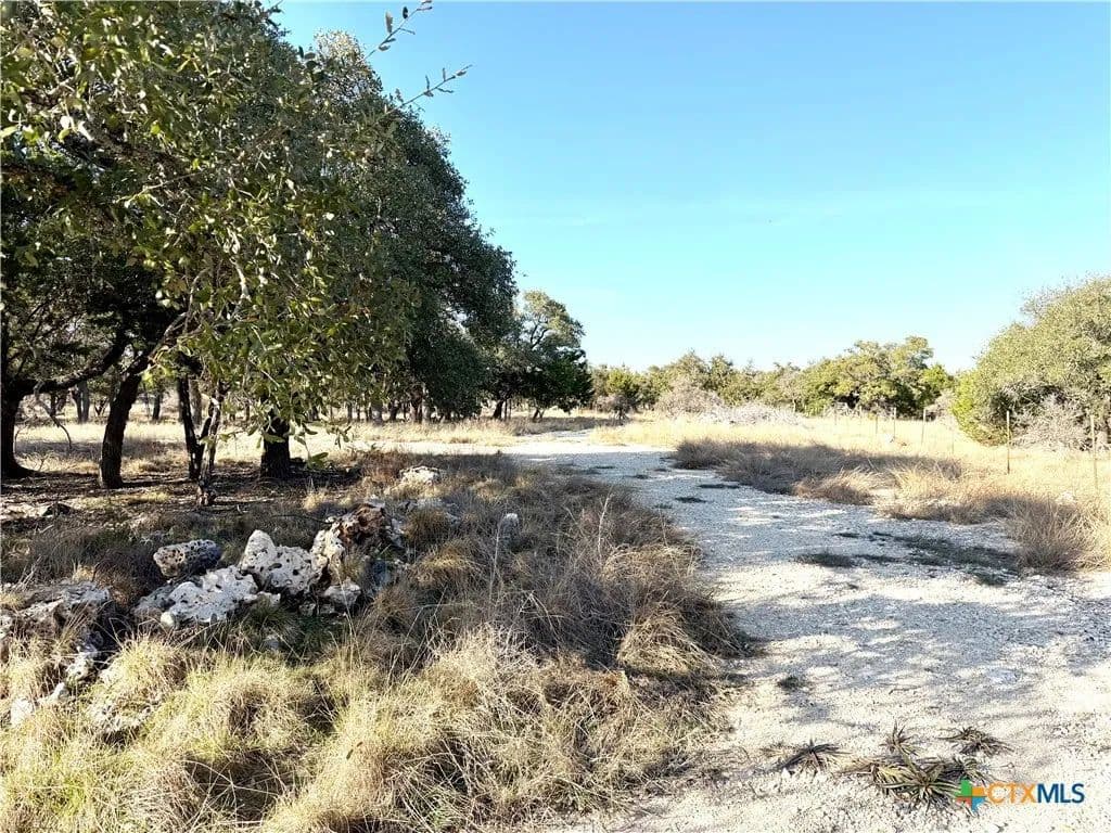 Vacant Land in Florence - Florence, Texas, 78633