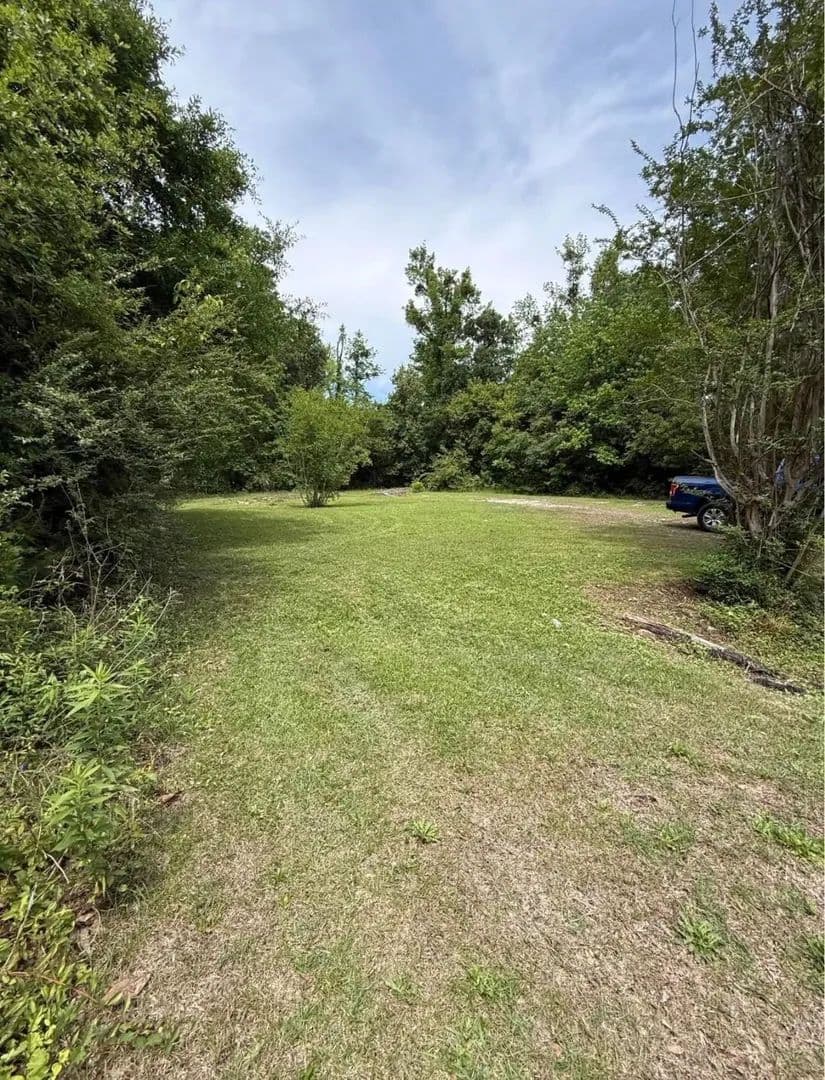 Vacant Land in Hemingway - Hemingway, South Carolina, 29554
