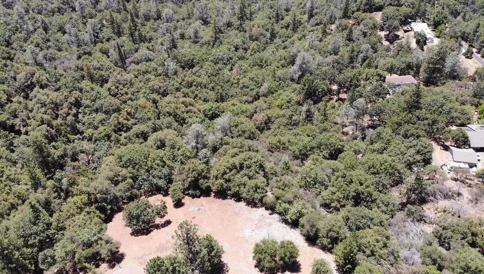 37.07 Acres of Land for Sale in Pine Grove, CA - Pine Grove, California, 95665