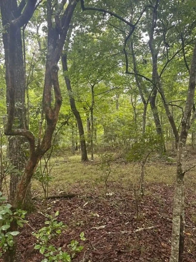 1.54+/-acres wooded lot located in the gated community of Sequatchie Point - South Pittsburg, Tennessee, 37380