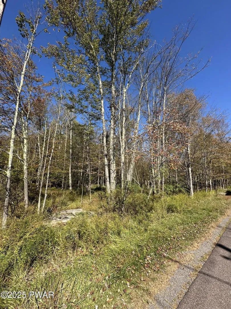 Lots & Land-Other in Lake Ariel