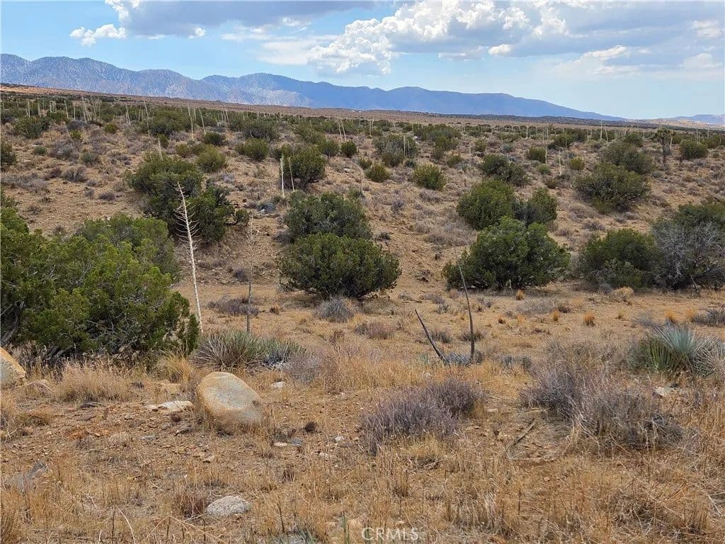 Vacant Land in Llano - Llano, California, 93544