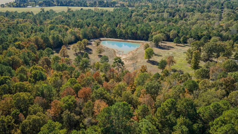 Vacant Land in Diana