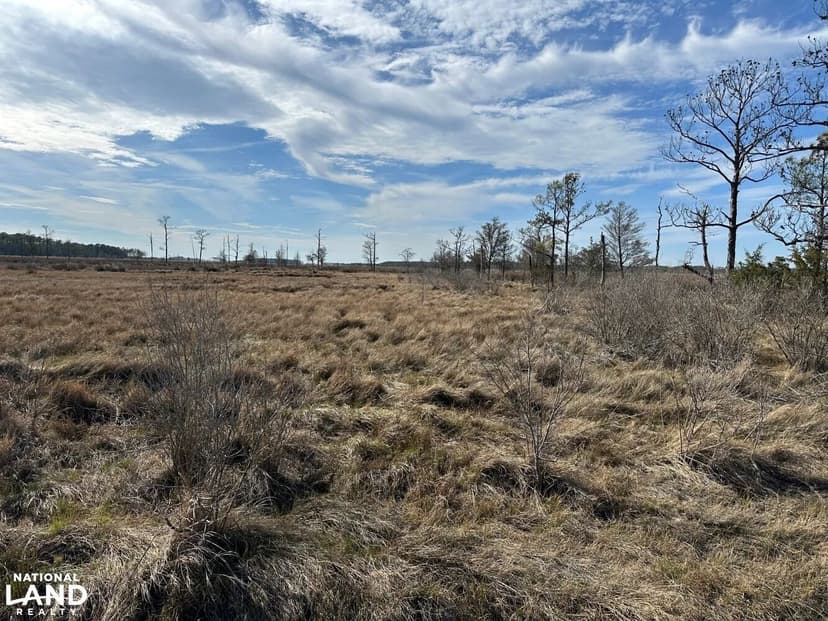 Goose Creek Sika & Waterfowl Retreat