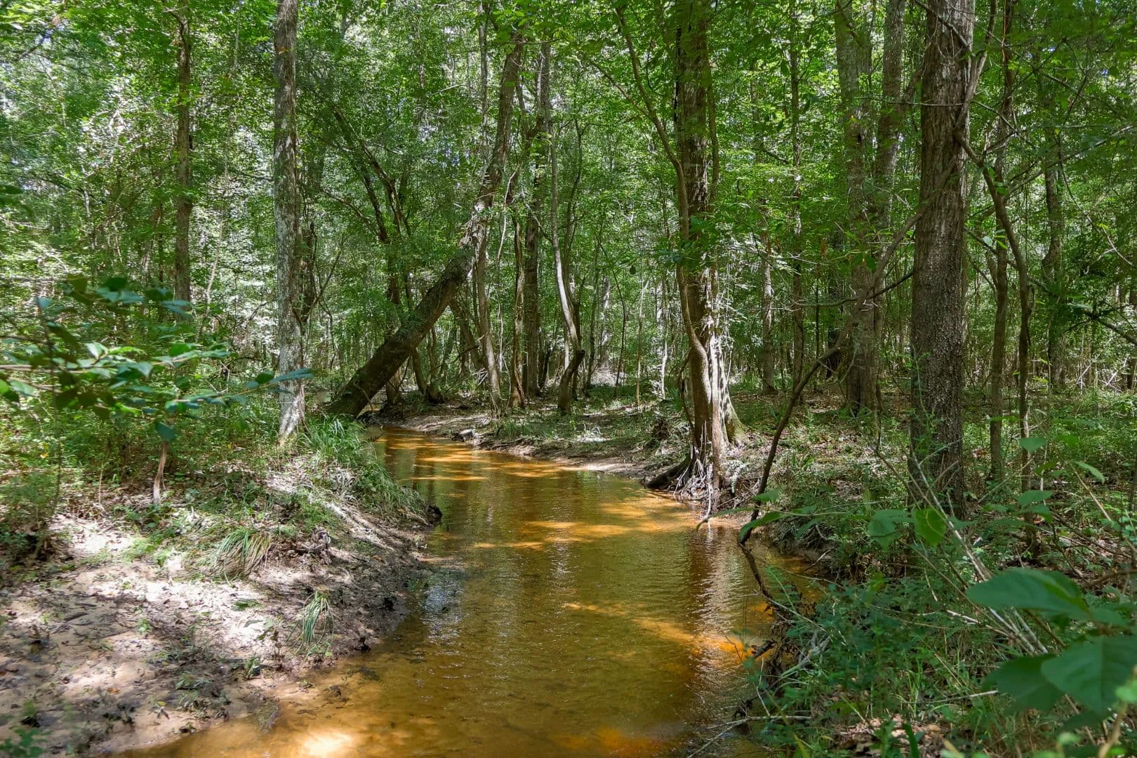 Hunting and Homeplace five minutes from Cochran - land for sale