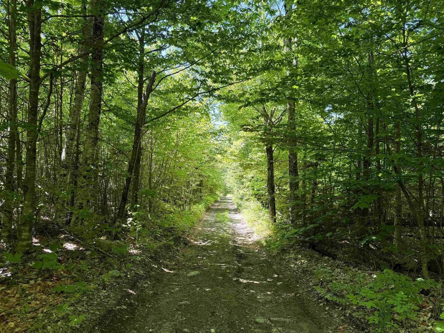 Lots & Land-Other in East Haven - East Haven, Vermont, 05837