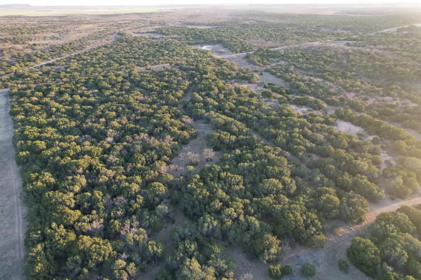 NEW LISTING!! 12 +/- Ac, TBD CR 207, Taylor County