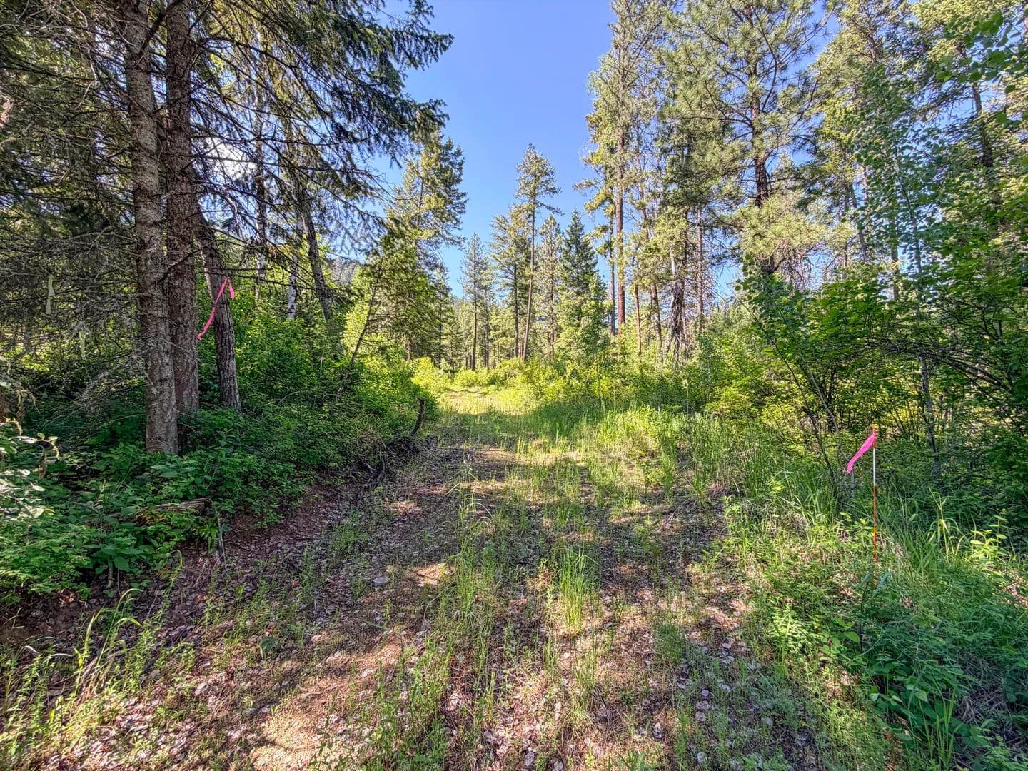 7.5 Acres of Land for Sale in Addy, Washington - Addy, Washington, 99101