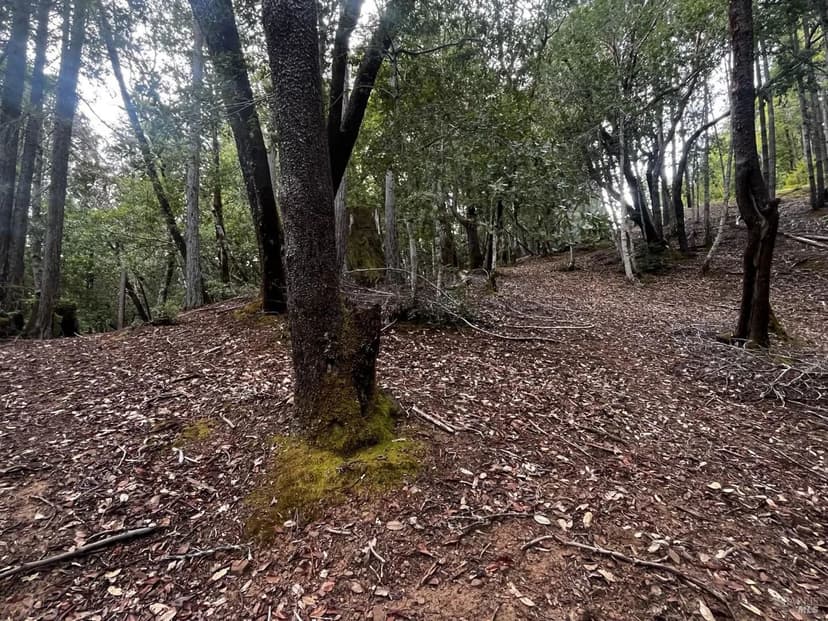 Lots & Land-Other in Willits