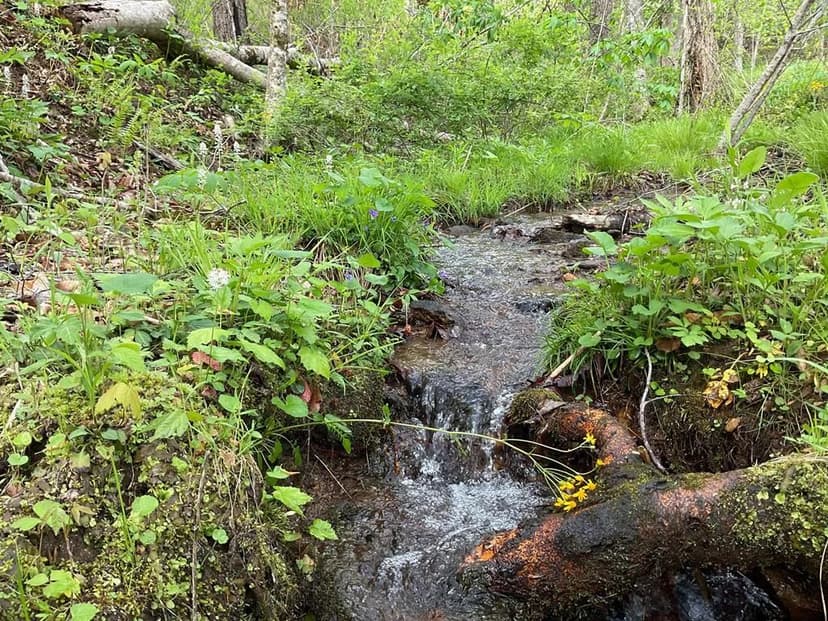 Property from Lt 11 Amaryllis Trail - KW