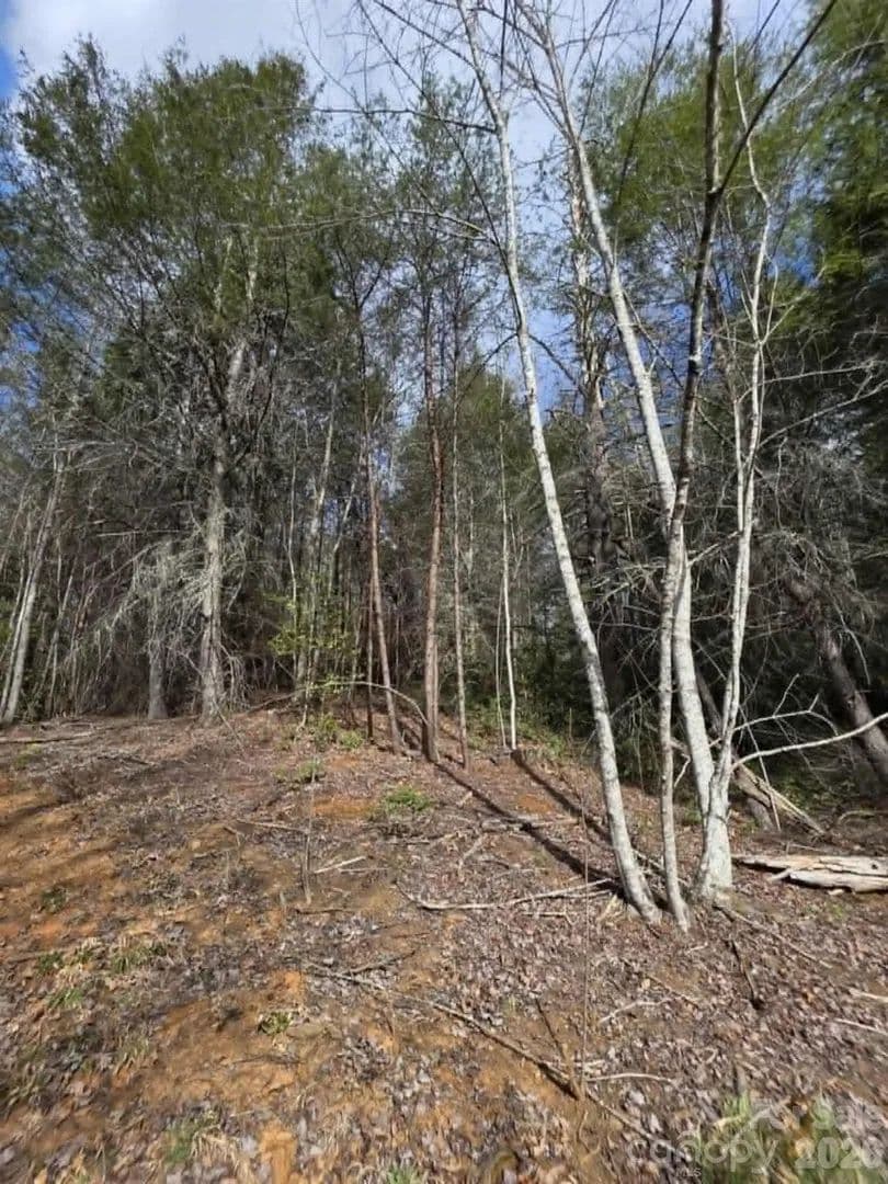 Property from Lot 4 Kerlee Lane - KW - Old Fort, North Carolina, 28762