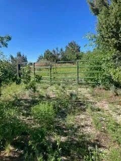 Vacant Land in Kolob - Utah, 84767