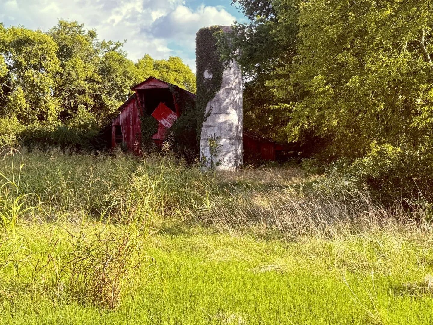 34 Acres of Land for Sale in Eagleville, TN - Eagleville, Tennessee, 37060