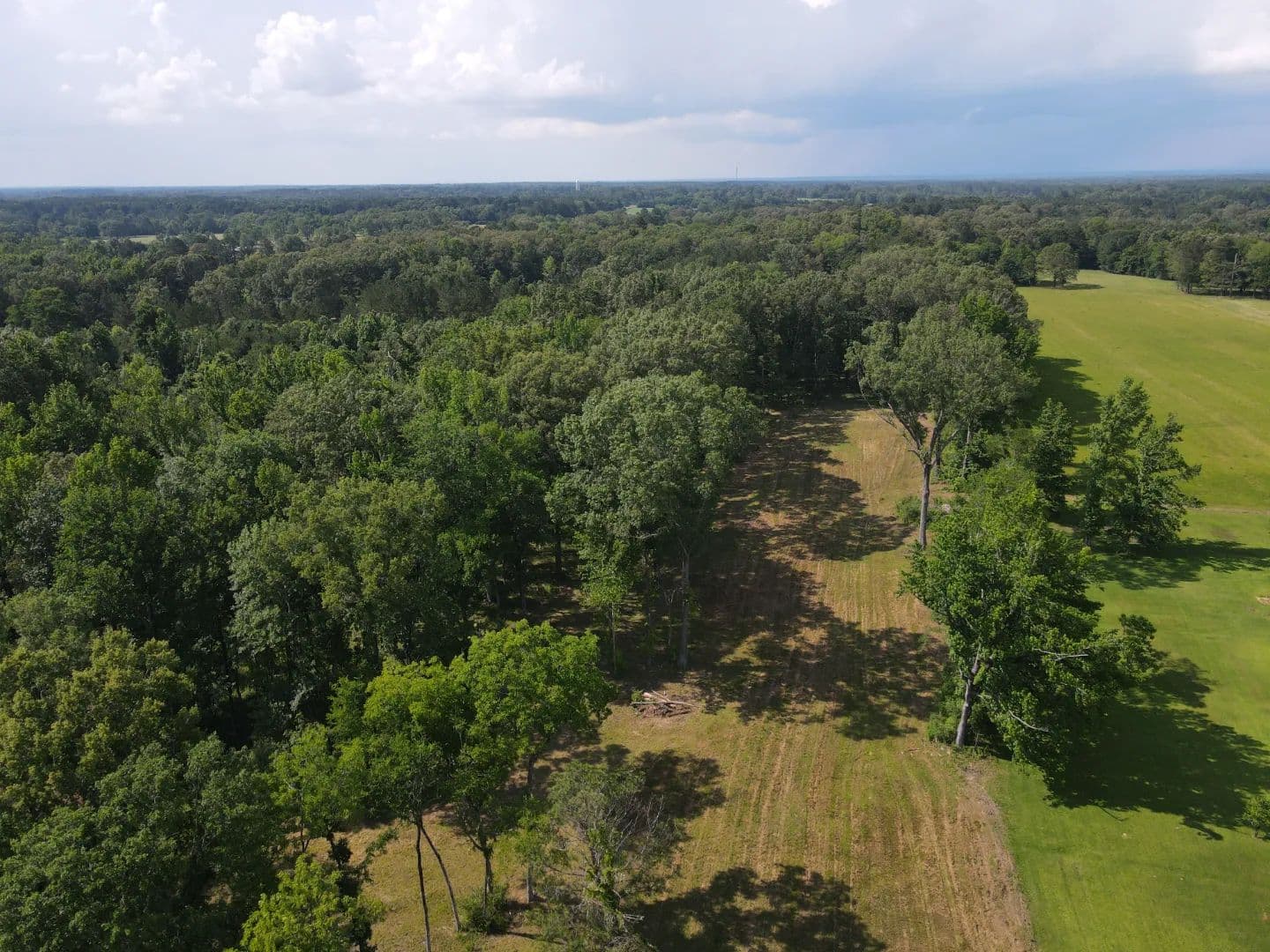 7.83 Acres in Madison County, MS - Canton, Mississippi, 39046