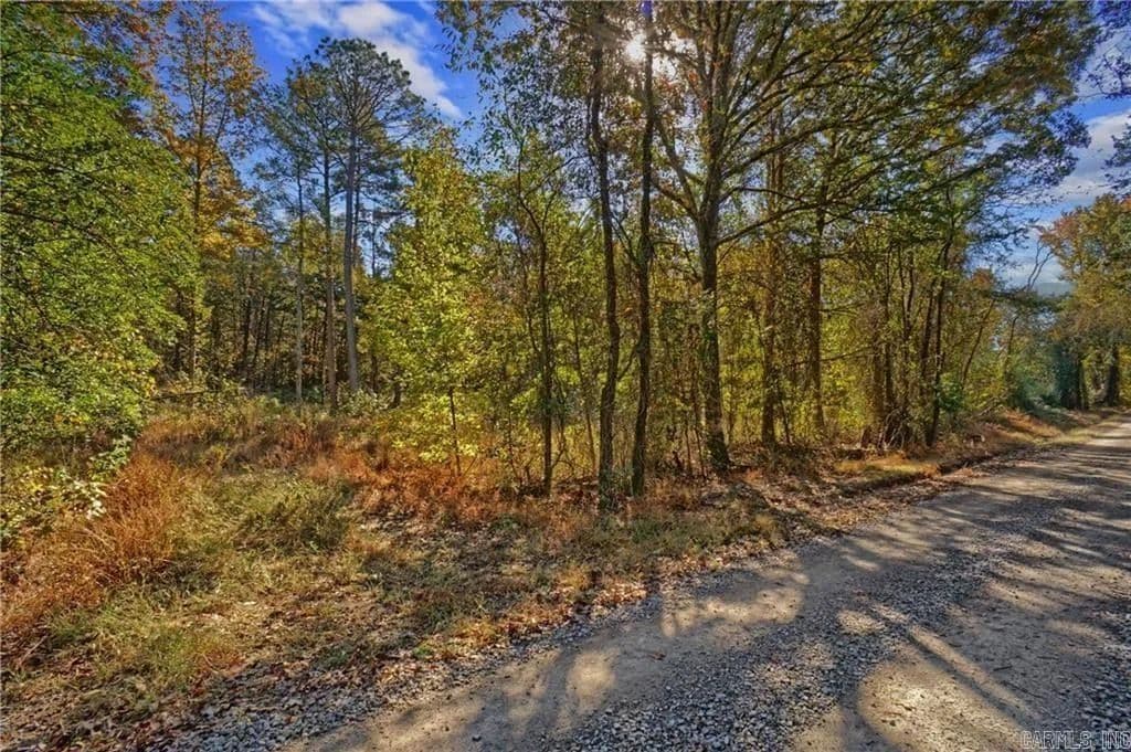 Lots & Land-Other in Dover - Dover, Arkansas, 72837