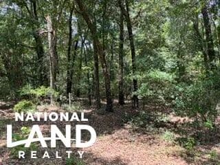 Sconyers Branch Tract - Clayhatchee, Alabama, 36322