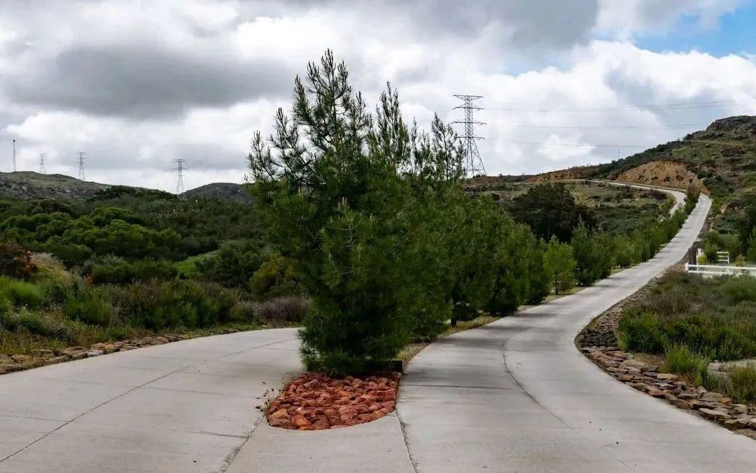 1664 Acres of Land for Sale in Te, Baja California - land for sale