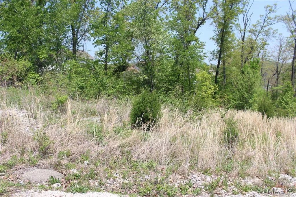 0.78 Acres of Land for Sale in St Robert, Missouri - land for sale