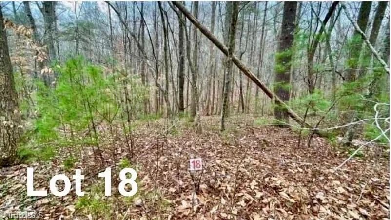 Vacant Land in Stuart - Stuart, Virginia, 24171