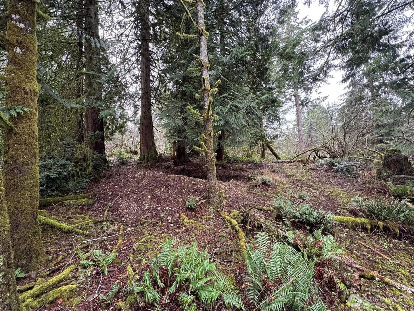 Vacant Land in Anderson Island - Anderson Island, Washington, 98303
