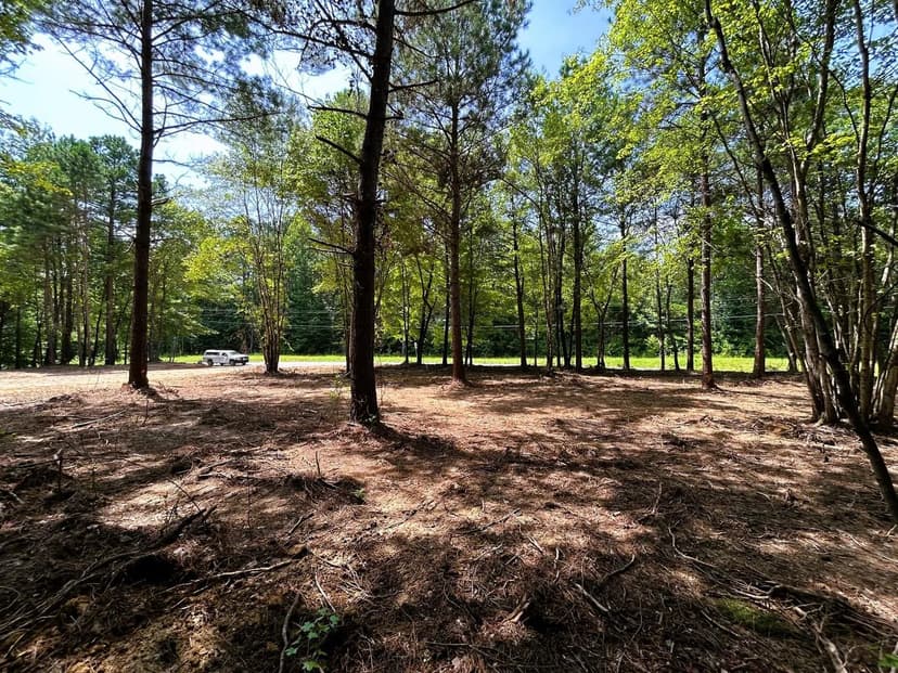 Property from Lot 3 Highway 304 - KW